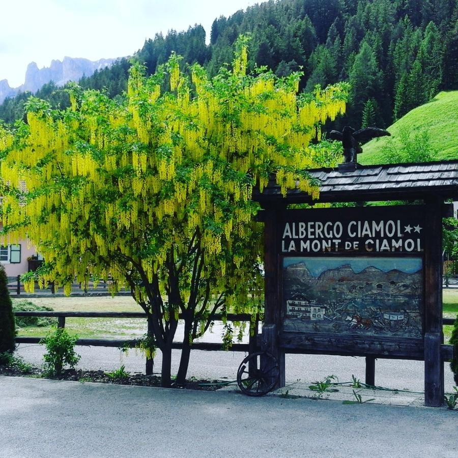 Hotel Ciamol Campitello di Fassa Exterior photo